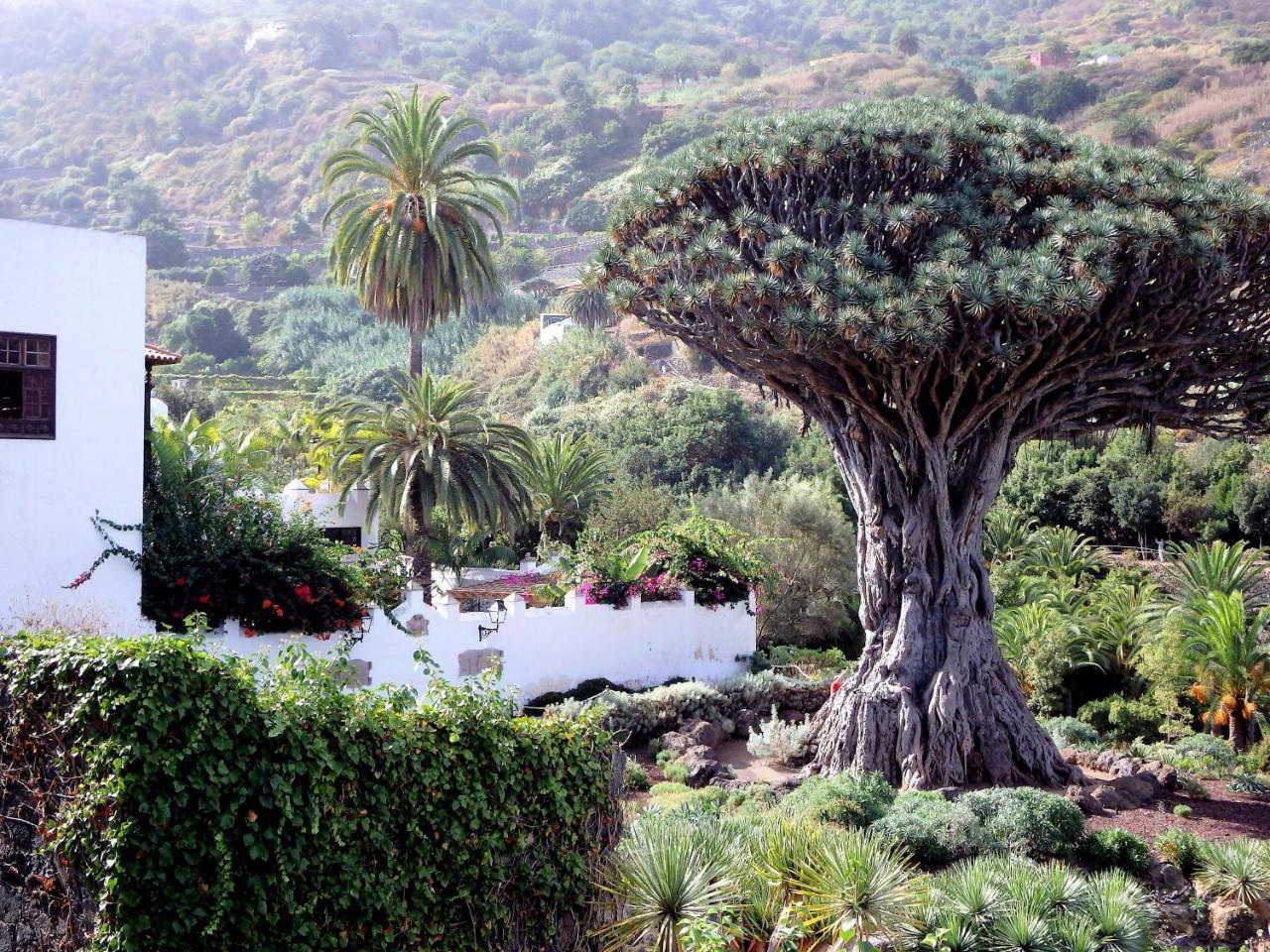 El Rincon With Teide View III Apartment อิคอดเดลอสวินอส ภายนอก รูปภาพ